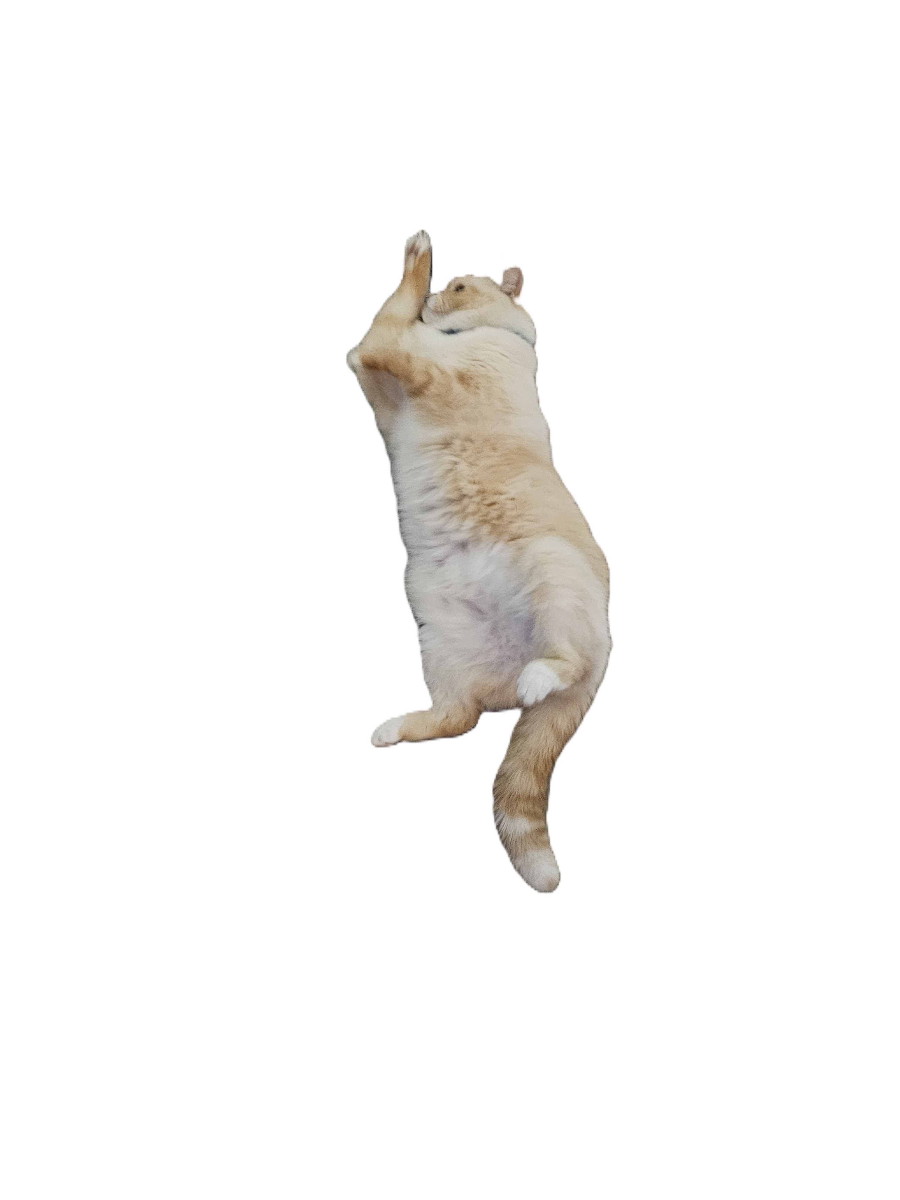 Clickable Image