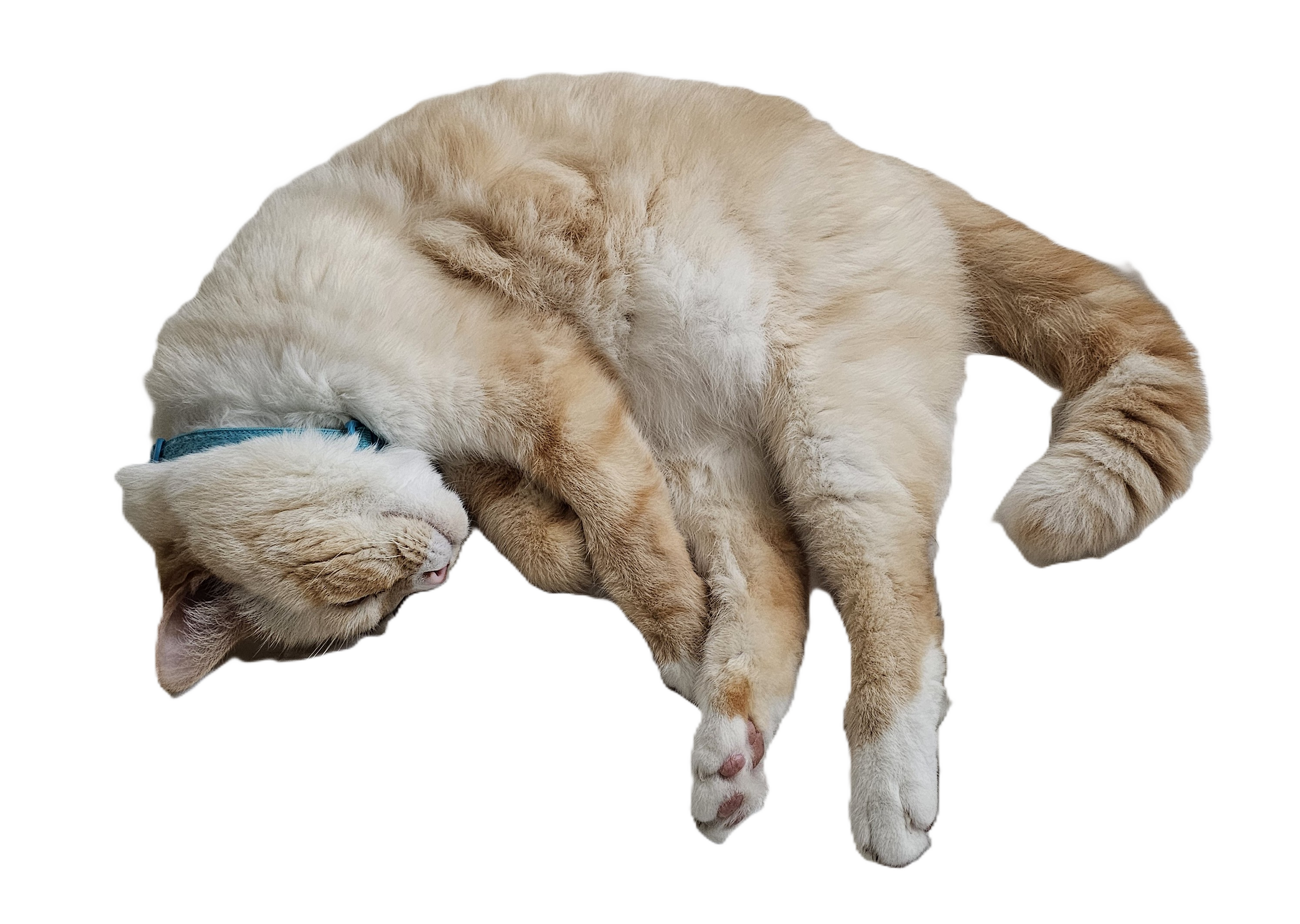 Clickable Image