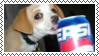 pepsidog
