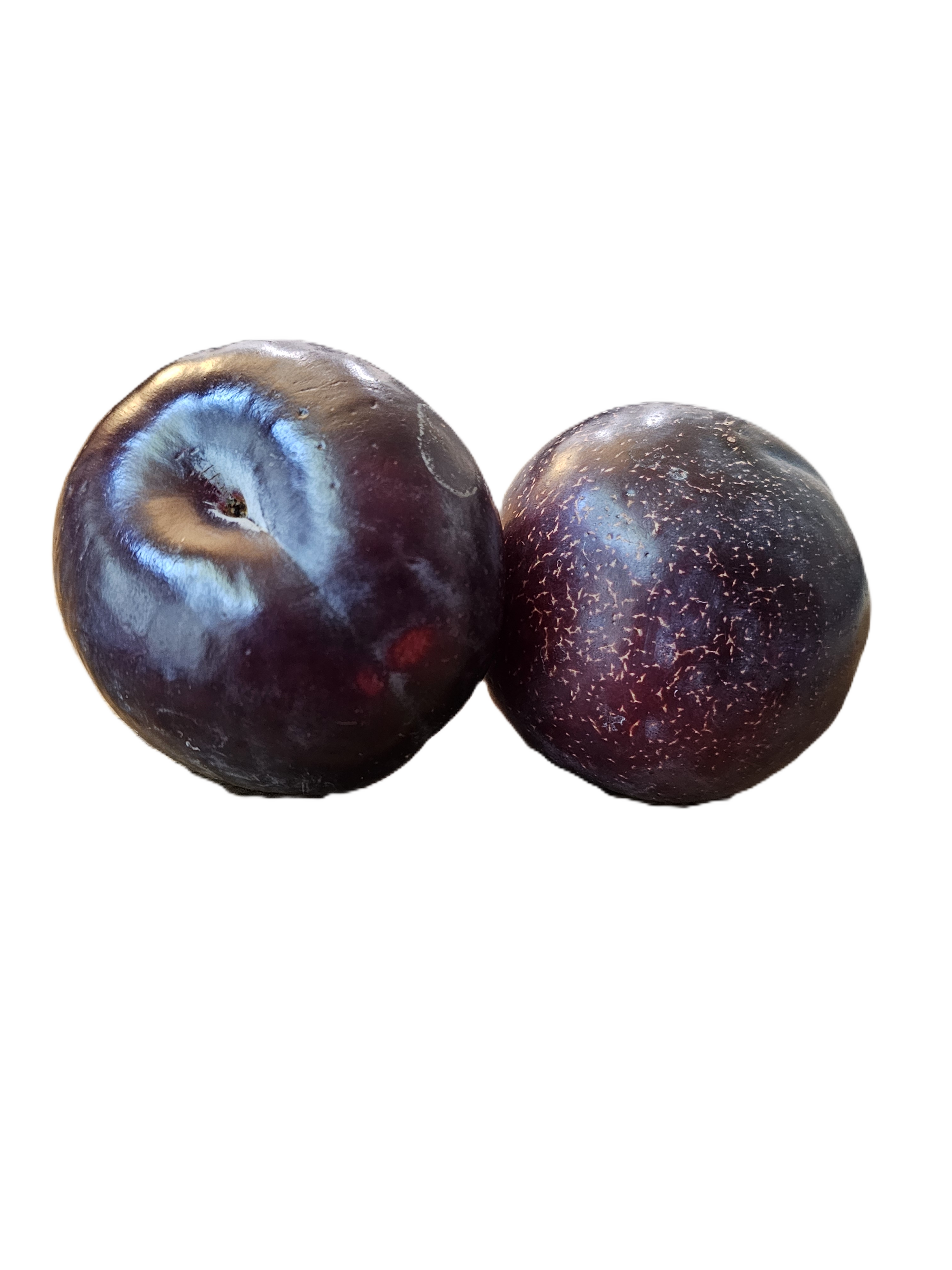 plums1